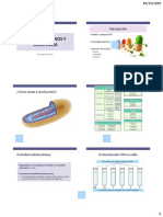 Antimicrobianos y Resistencia