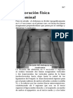 Exploracion Fisica Abdominal