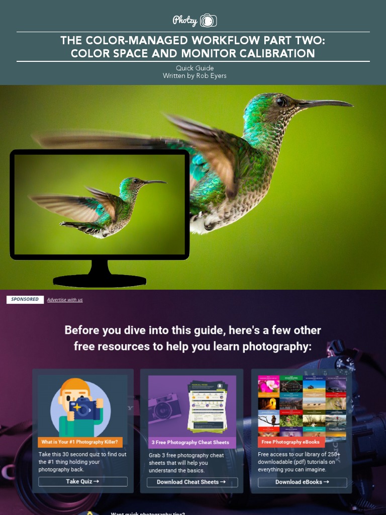 The+Colour+Managed+Workflow Part2 Monitor | PDF | Rgb Color Model ...