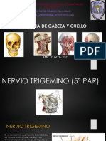 10 Nervio Trigémino (1) (EXAMEN)