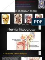 12 A. Nervio Hipogloso (EXAMEN)