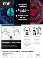 Inteligencia Emocional Lau