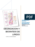 Degradacion y Biosintesis de Lipidos.cartilla de Metabolismo.2020