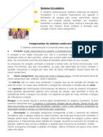 Sistema circulatório: transporte de sangue e oxigênio pelo corpo