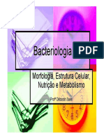 Bacteriologia Morfologiaestruturacelular 140720223237 Phpapp01