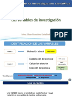 7 Las Variables de Investigación