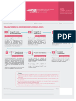 Transferencia de Embriones Congelados