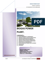 Biogas Power Plant