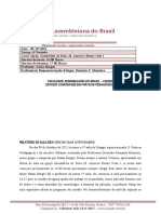 Modelo de Relatório de Aula - Práticas Pedagógicas