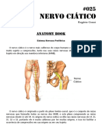 025 Anatomia Do Nervo Ciatico Ciatalgia e Lombociatalgia (1)