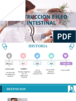 Obstruccion e Ileo Intestinal