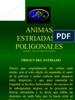 Animas Estriadas y Poligonales