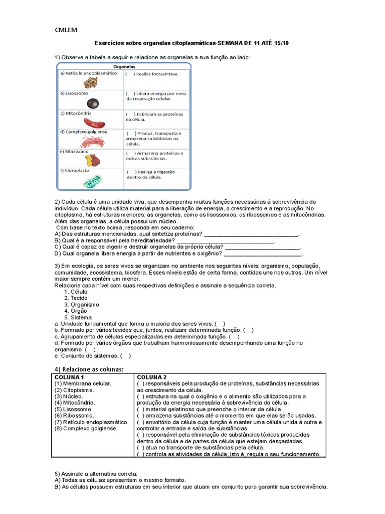 MODELO-Exercícios Sobre Organelas citoplasmáticas-SEMANA DE 11 ATÉ 15 ...