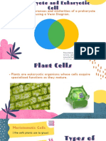 Types of Plant Cells