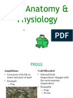 Frog Anatomy Physiology