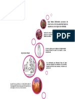 El Proceso Ritual