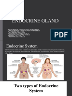 Endocrine Gland Functions