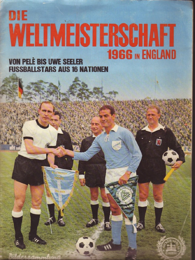 Panini 1966