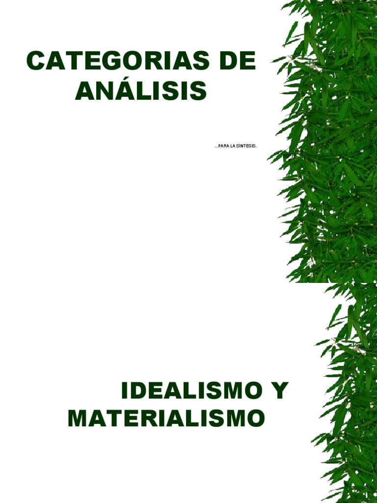 Categorias de Análisis | PDF | Materialismo | Dialéctico