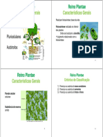 Apresentação Reino Plantae At2016