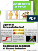 Sistema Endocrino