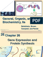 Lecture 9.1-Gene Expression Protein Synthesis