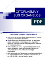 Citoplasma y Sus Organelos