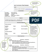 Basic Curriculum Vitae Example