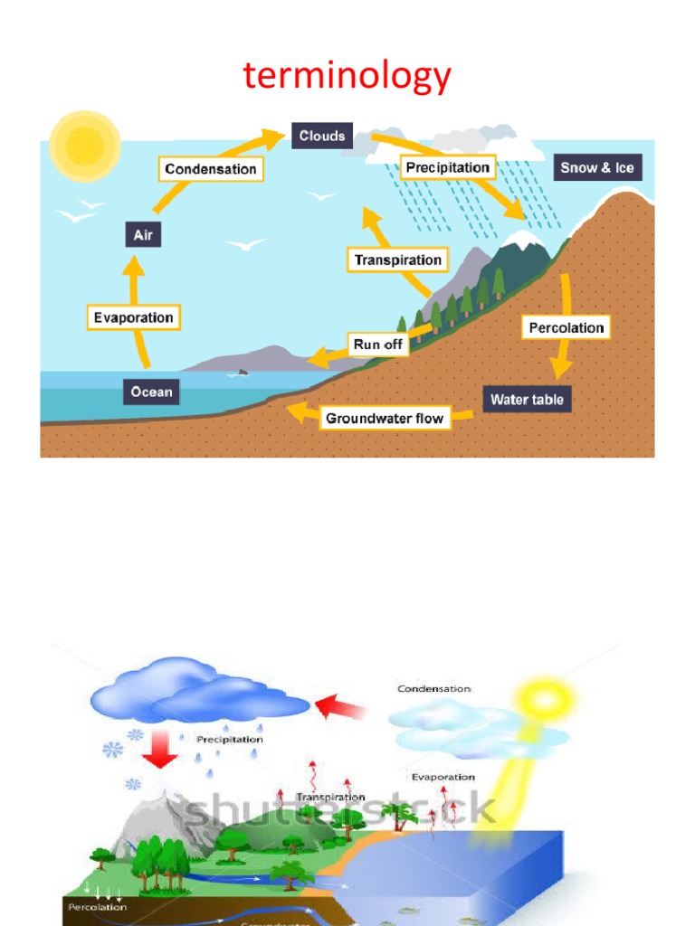 Presentation 5 | PDF | Evaporation | Water Vapor