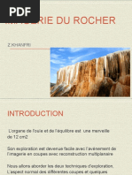 Atlas de radioanatomie du rocher | PDF | Anatomie | Sens (physiologie)