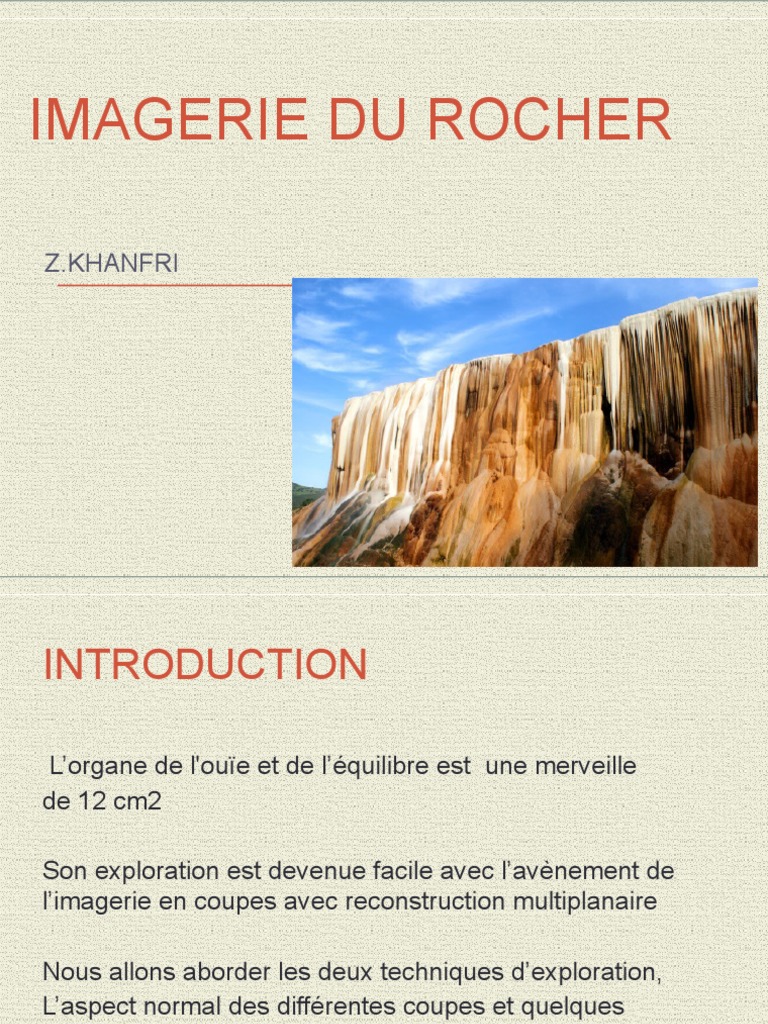 Imagerie Rocher | PDF | Oreille | Audiologie