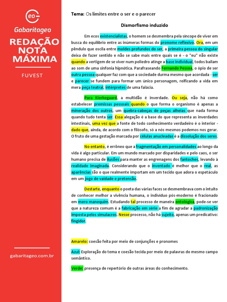Redação Fuvest 3 | PDF