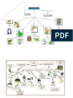 mapa concptual veertebrados