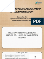 Kebijakan Penanggulangan Anemia Kab Sleman 2021