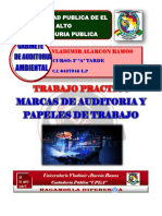 Marcas de Auditoria y Papeles de Trabajo