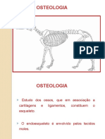 1S2016 Osteologia-Conceitos