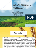 Serealia