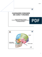 Cavidades Comunes de Craneo y Cara