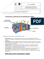 Guía Trabajo Membrana 2020