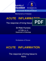 Acute Inflammation: The Response of Living Tissue To Injury