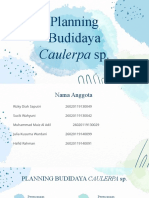 Ppt Planning Caulerpa
