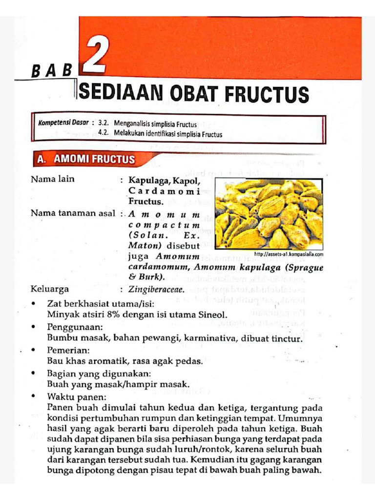 Fructus | PDF