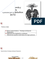 22-23 anatomia - distubio vq y acido básico