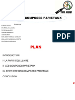 Groupe2 Composes Parietaux