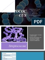 Streptococcus Final