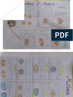 Mitosis y Meiosis