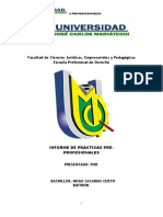 Informe Practicas Preprofesionales Ujcm-2021 Hugo