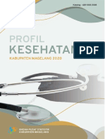 Profil Kesehatan Kabupaten Magelang 2020