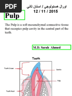 د. سارة Oral histology-5 (Muhadharaty)