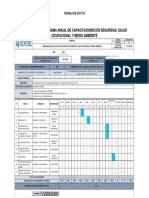 Programa anual capacitaciones SSOMA 2021